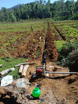 5.28 Acre Agricultural/Farm Land for Sale in Mudigere, Chikmagalur