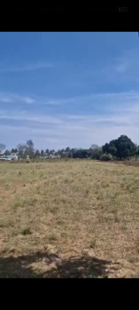 Agricultural/Farm Land for Sale in Doddaballapur, Bangalore (1.22 Acre)