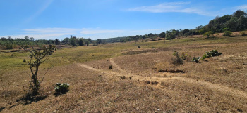 Agricultural/Farm Land for Sale in Alur, Hassan (8 Acre)