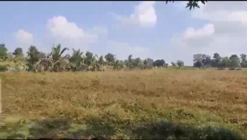 Agricultural/Farm Land for Sale in HD Kote Road, Mysore (5 Acre)