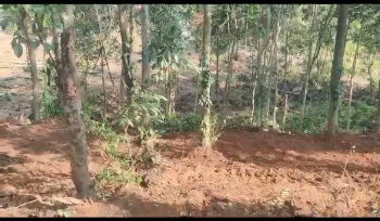 Agricultural/Farm Land for Sale in Sakleshpur, Hassan (1 Acre)