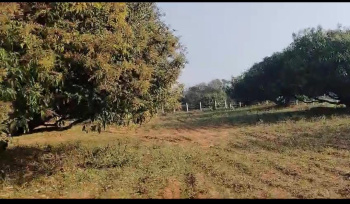 Agricultural/Farm Land for Sale in Bidadi, Bangalore (1 Acre)