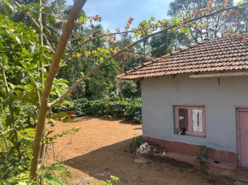 Agricultural/Farm Land for Sale in Mudigere, Chikmagalur (3.25 Acre)