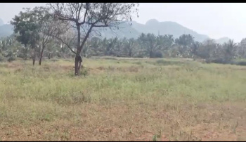 Agricultural/Farm Land for Sale in Ramanagara, Bangalore (3.5 Acre)