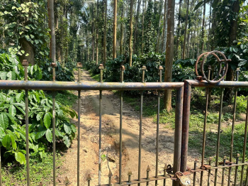 Agricultural/Farm Land for Sale in Belur Hassan, Hassan (37 Acre)