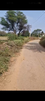Agricultural/Farm Land for Sale in Doddaballapur, Bangalore (60 Guntha)