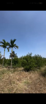 Agricultural/Farm Land for Sale in Chikkaballapur, Bangalore (4 Acre)