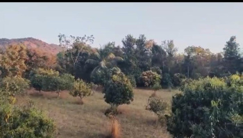 Agricultural/Farm Land for Sale in Kanakapura, Bangalore (4.28 Acre)