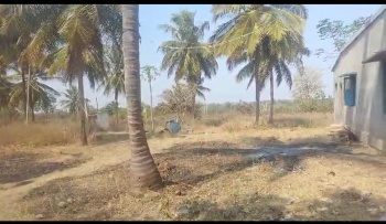 5.25 Acre Agricultural/Farm Land for Sale in Belagola, Mysore