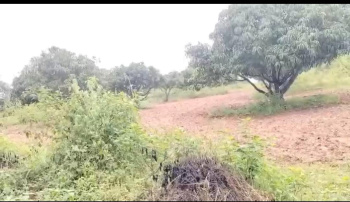 Agricultural/Farm Land for Sale in Kanakapura, Bangalore (1.20 Acre)