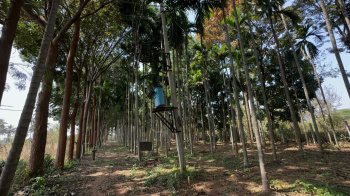 Agricultural/Farm Land for Sale in Gauribidanur, Bangalore (5.1 Acre)