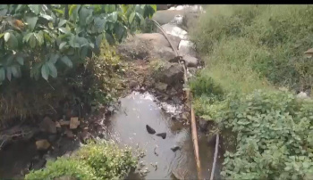 36 Acre Agricultural/Farm Land for Sale in Jayanagar, Chikmagalur