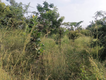 Agricultural/Farm Land for Sale in Kollegal, Chamarajanagar (9.75 Acre)