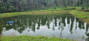 Agricultural/Farm Land for Sale in Sakleshpur, Hassan (66 Acre)