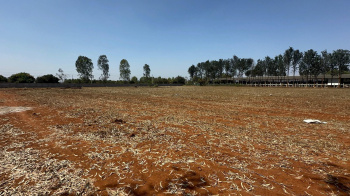 Agricultural/Farm Land for Sale in Doddaballapur, Bangalore (3.20 Acre)