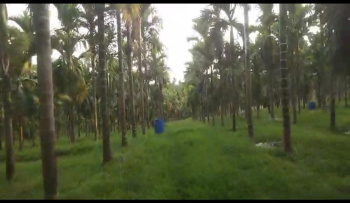 Agricultural/Farm Land for Sale in Kundapura, Udupi (21 Acre)