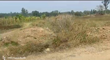 12 Acre Agricultural/Farm Land for Sale in Hebbalu, Hassan