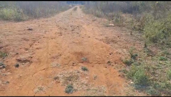 Agricultural/Farm Land for Sale in Doddaballapur, Bangalore (4.30 Acre)