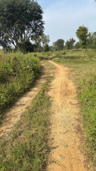 Agricultural/Farm Land for Sale in Chikkaballapur, Bangalore (1.02 Acre)