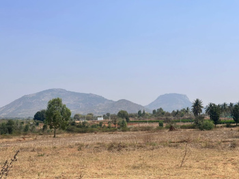Agricultural/Farm Land for Sale in Doddaballapur, Bangalore (11.25 Acre)
