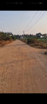 Agricultural/Farm Land for Sale in Chikkaballapur, Bangalore (1.17 Acre)