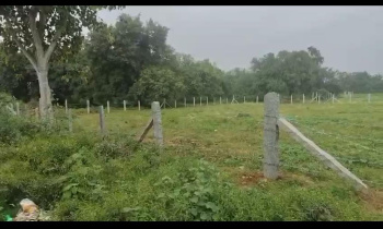 14 Guntha Agricultural/Farm Land for Sale in Malur, Kolar