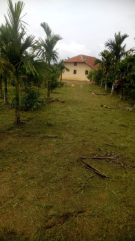 Agricultural/Farm Land for Sale in Sakleshpur, Hassan (10.5 Acre)