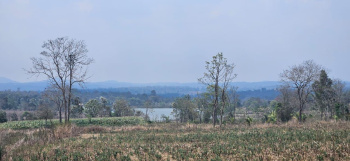 1 Acre Agricultural/Farm Land for Sale in Hebbalu, Hassan