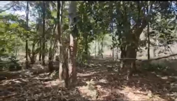 5 Acre Agricultural/Farm Land for Sale in Hebbalu, Hassan