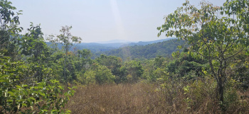 Agricultural/Farm Land for Sale in Sakleshpur, Hassan (20 Acre)