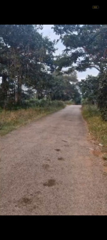 Agricultural/Farm Land for Sale in Doddaballapur, Bangalore (1.39 Acre)