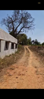 Agricultural/Farm Land for Sale in Rajankunte, Bangalore (27 Guntha)