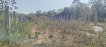 Agricultural/Farm Land for Sale in Belur Hassan, Hassan (1.5 Acre)