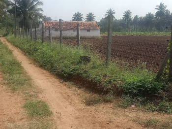 6 Acres Farm Land for Sale near Chamarajanagara City