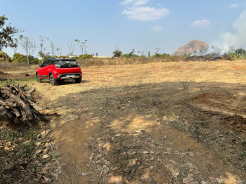 Agricultural/Farm Land for Sale in Kadur, Chikmagalur (70 Guntha)