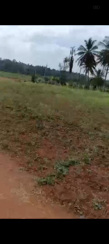 Agricultural/Farm Land for Sale in Malavalli, Mandya (10.5 Acre)