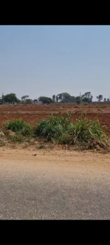 Agricultural/Farm Land for Sale in Devanahalli, Bangalore (6 Guntha)