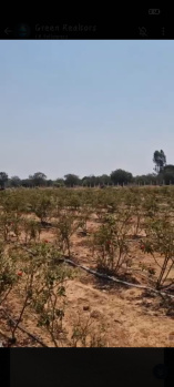 Agricultural/Farm Land for Sale in Devanahalli, Bangalore (3.24 Acre)