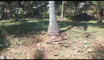 Agricultural/Farm Land for Sale in Kanakapura, Bangalore (2.02 Acre)