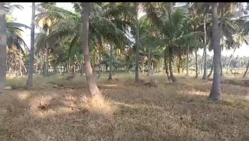Agricultural/Farm Land for Sale in Channapatna, Bangalore (3 Acre)