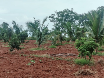 Agricultural/Farm Land for Sale in Ramanagara, Bangalore (1 Acre)