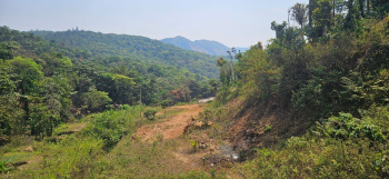 Agricultural/Farm Land for Sale in Sakleshpur, Hassan (6 Acre)