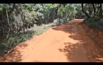 Agricultural/Farm Land for Sale in Mudigere, Chikmagalur (5 Acre)