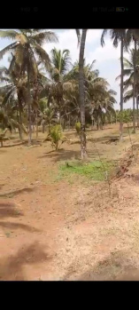 3 Acre Agricultural/Farm Land for Sale in Sakleshpur, Hassan