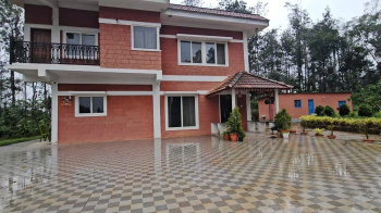 8.26 Acre Agricultural/Farm Land for Sale in Sakleshpur, Hassan