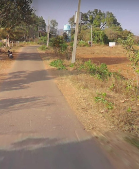 Agricultural/Farm Land for Sale in Doddaballapur, Bangalore (3.19 Acre)