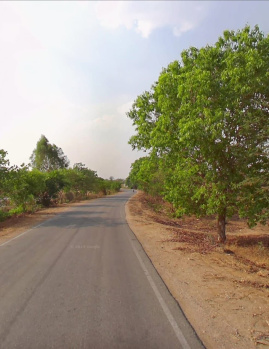 Agricultural/Farm Land for Sale in Chikkaballapur, Bangalore (2 Acre)