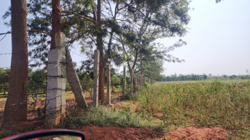 Agricultural/Farm Land for Sale in Doddaballapur, Bangalore (8 Acre)