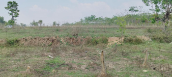 Agricultural/Farm Land for Sale in Belur Hassan, Hassan (5.5 Acre)