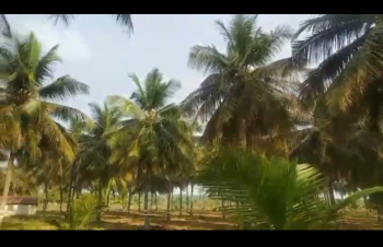 Agricultural/Farm Land for Sale in Nanjungud Road, Mysore (7 Acre)